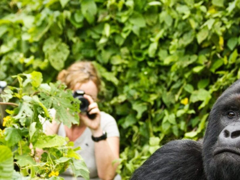 Rwanda Uganda Gorilla Experience Safari