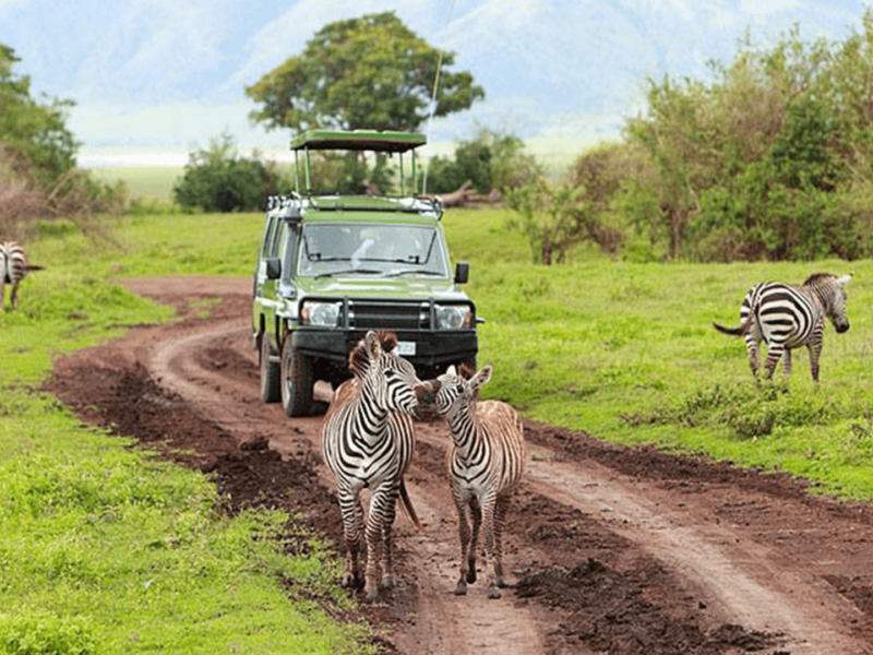 Lake Mburo National Park Safari Uganda