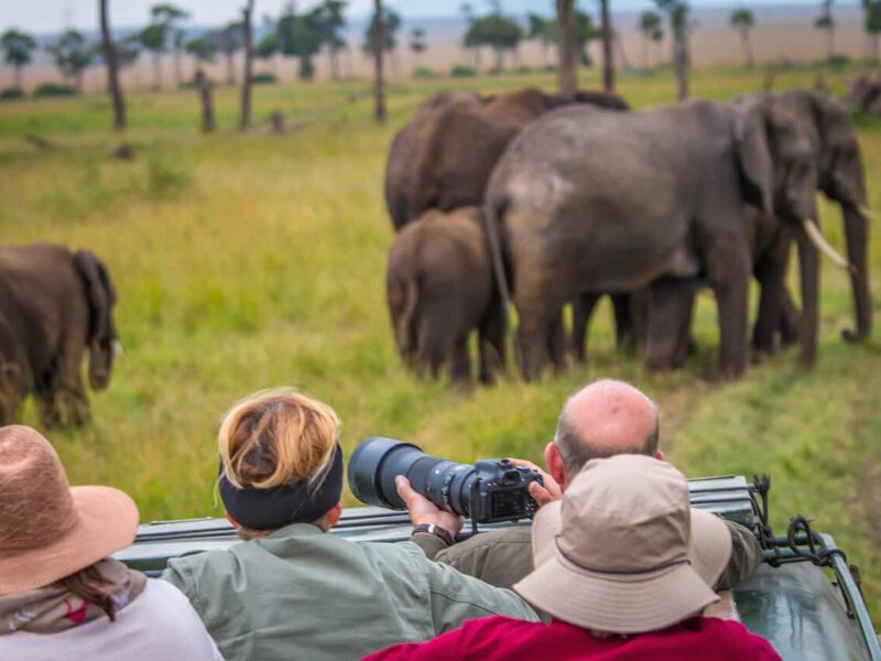 Mount Kenya Wildlife Safari