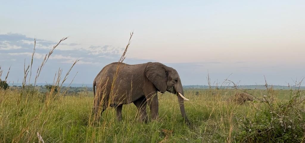 7 Days Kenya Uganda Safari