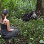 7 Days Kenya Uganda Safari