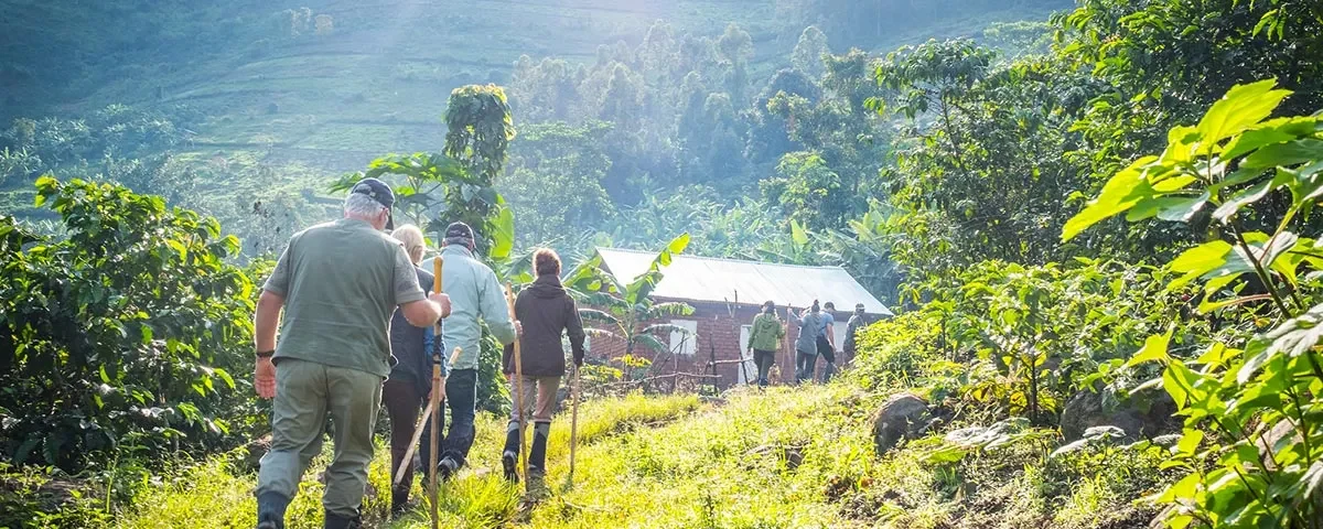 Gorilla Trekking Bwindi