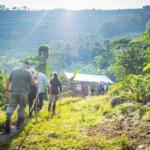 Gorilla Trekking Bwindi