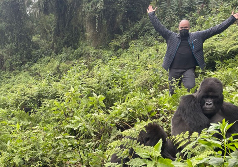 How Much Does It Cost to Go Gorilla Trekking in Rwanda?