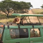 What to Pack on a Game Drive Safari in Uganda