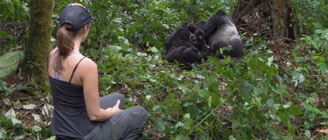 What Is the Minimum Age for Gorilla Trekking?