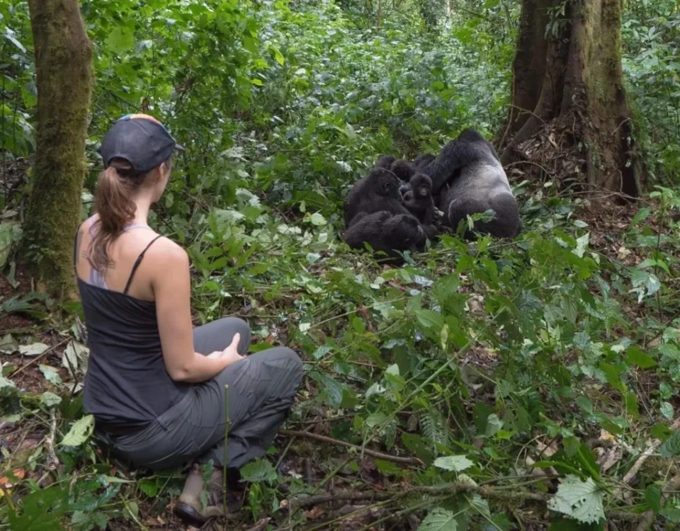 What Is the Minimum Age for Gorilla Trekking?