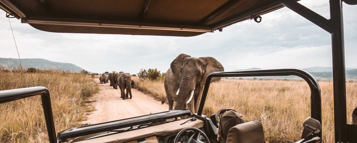 Are There Crowds in a Wildlife Beast Migration Safaris Kenya?