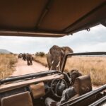 Are There Crowds in a Wildlife Beast Migration Safaris Kenya?