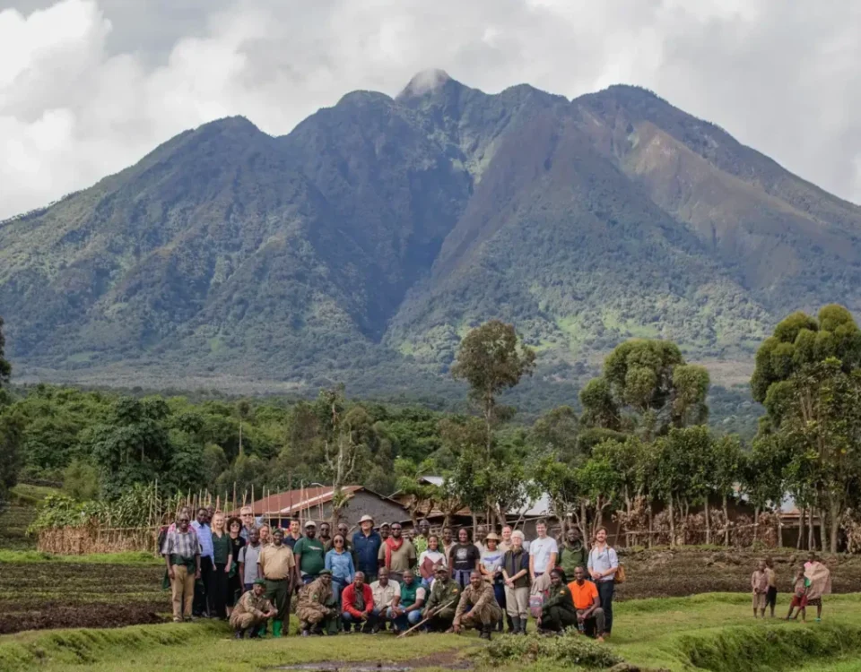 Mgahinga Gorilla National Park Hiking Safari