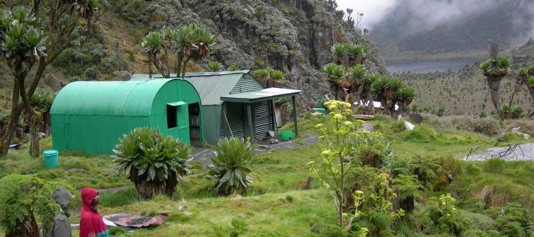 Rwenzori Mountains National Park Hiking Safari