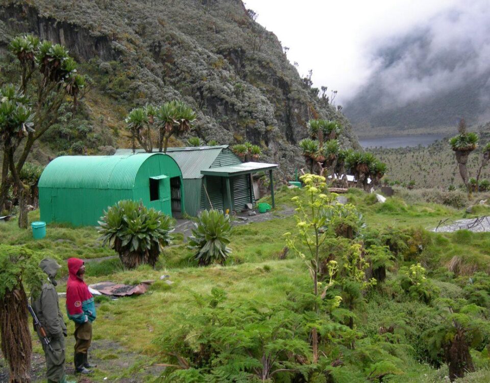 Rwenzori Mountains National Park Hiking Safari