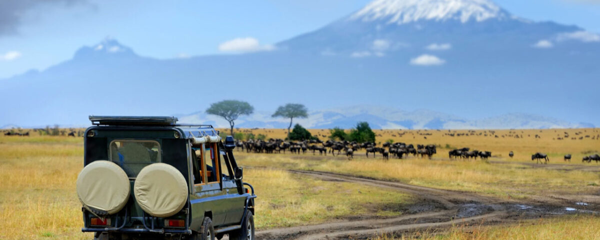 Where Is the Best Place to Stay