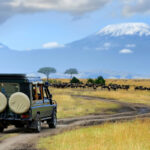 Where Is the Best Place to Stay