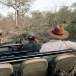 Why Not Wear White on Safari?