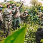What to Wear on a Gorilla Trek in Uganda?