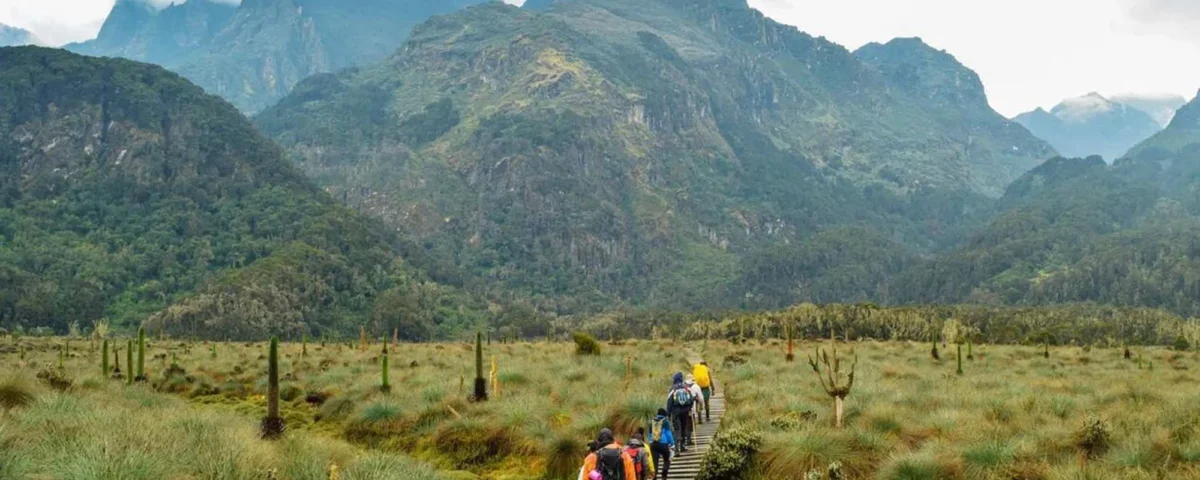 When Is the Best Time to Visit Mountain Rwenzori?