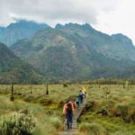 How Long Does It Take to Hike Mountain Rwenzori