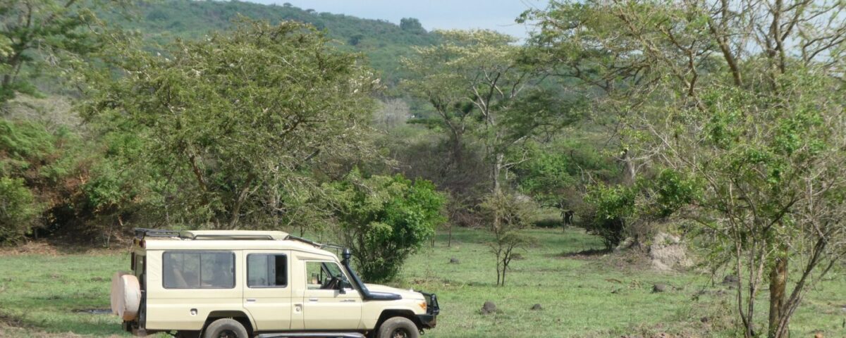 Can I Do a Budget Safari in Uganda?