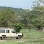 Can I Do a Budget Safari in Uganda?