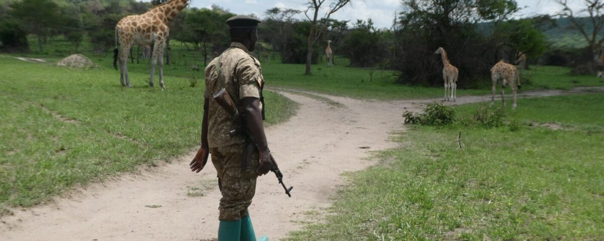 Uganda offers breathtaking landscapes, diverse wildlife, and vibrant cultures that attract global explorers every year. However, a well-prepared traveler enjoys these experiences without health concerns or disruptions.