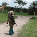 Uganda offers breathtaking landscapes, diverse wildlife, and vibrant cultures that attract global explorers every year. However, a well-prepared traveler enjoys these experiences without health concerns or disruptions.