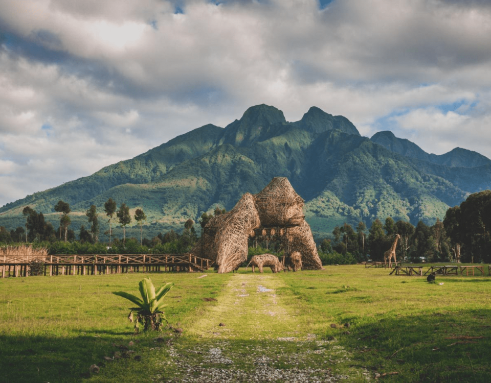 Is Rwanda Safe for Tourists? 