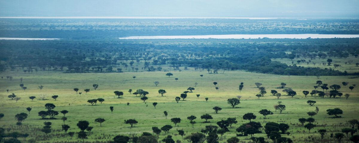 What’re the Top Uganda Safari Experiences?