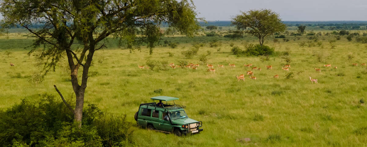 How Do I Get Around Uganda for a Safari?