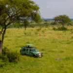 How Do I Get Around Uganda for a Safari?