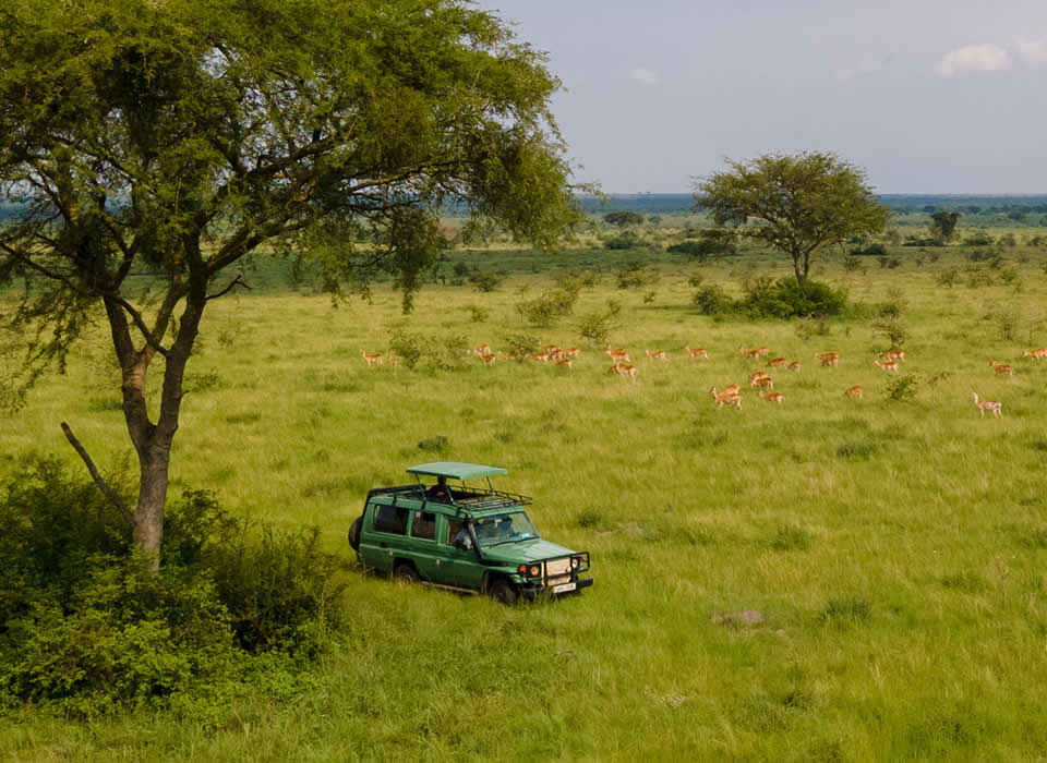 How Do I Get Around Uganda for a Safari?