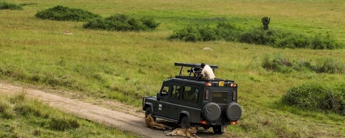 What’s the Weather Like in Uganda Safari with Other Destinations?