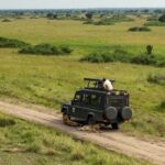 What’s the Weather Like in Uganda Safari with Other Destinations?