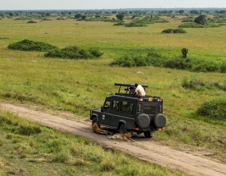 What’s the Weather Like in Uganda Safari with Other Destinations?
