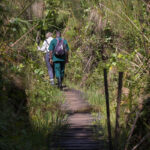 Is Uganda Safe for Tourists?