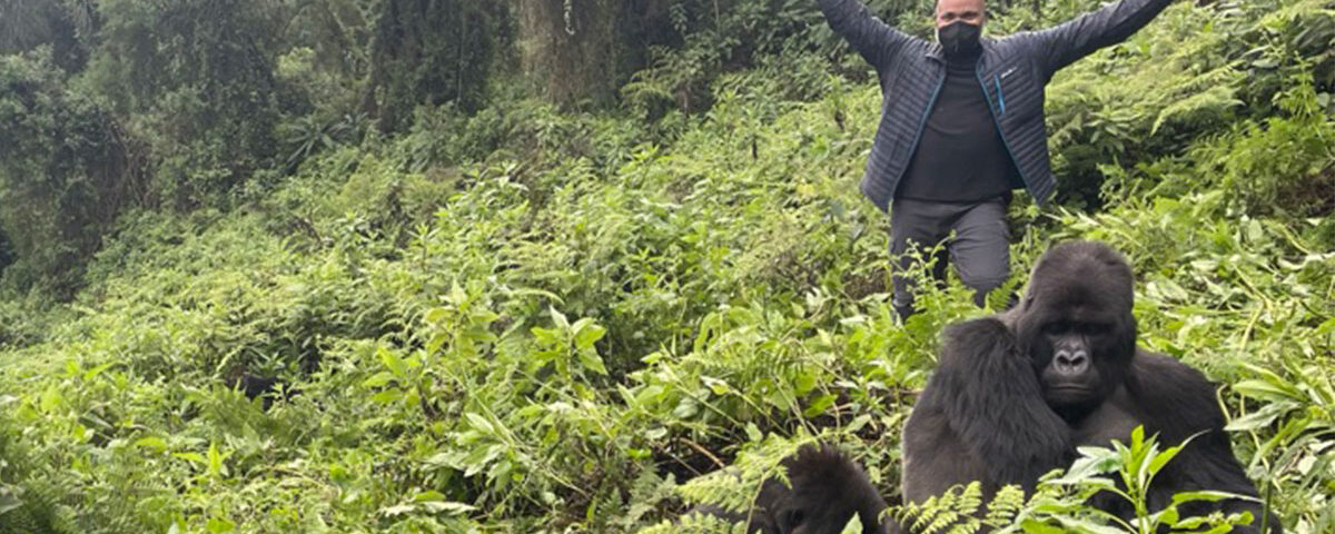 How Much Does It Cost to Go Gorilla Trekking in Rwanda?