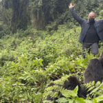 How Much Does It Cost to Go Gorilla Trekking in Rwanda?