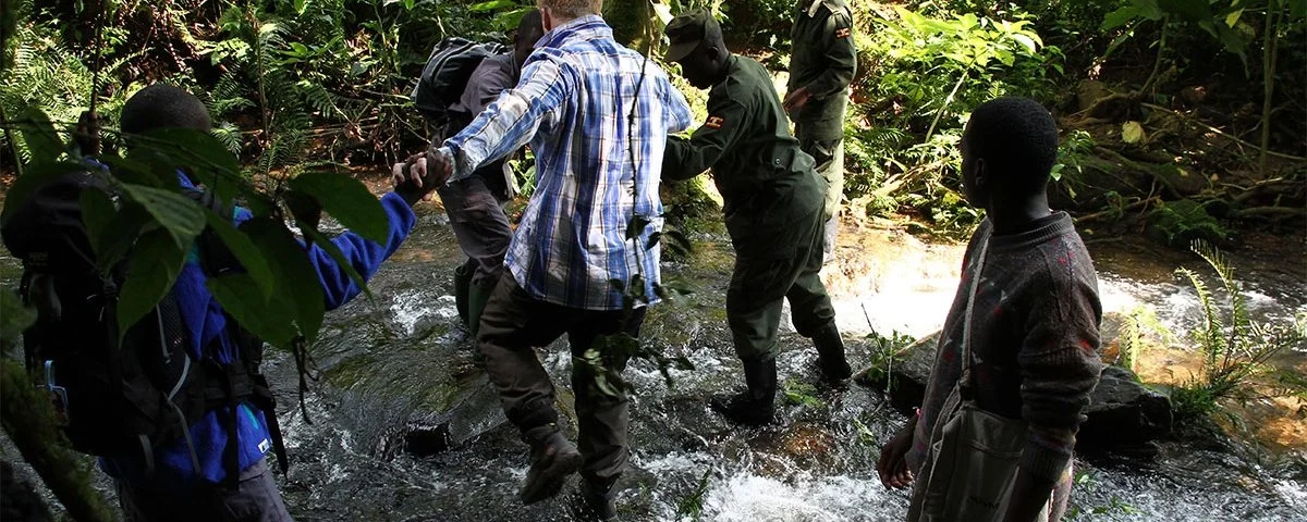 How Fit Do You Need to Be to Go Gorilla Trekking?