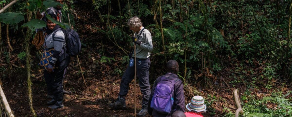 What’s the Best Time for Hiking in Uganda?