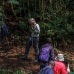 What’s the Best Time for Hiking in Uganda?