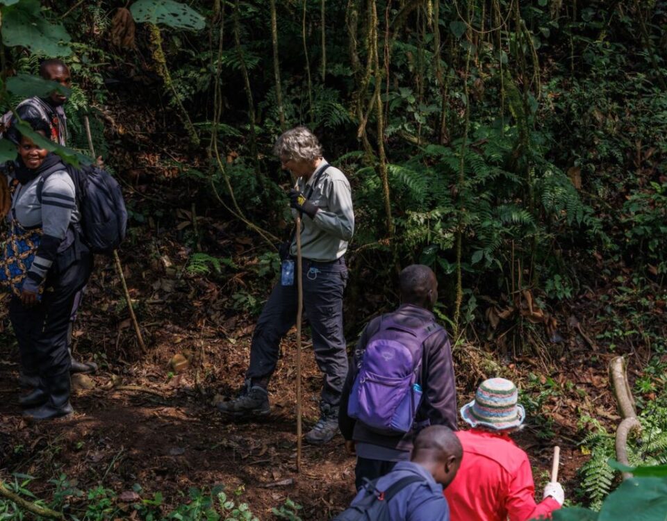 What’s the Best Time for Hiking in Uganda?