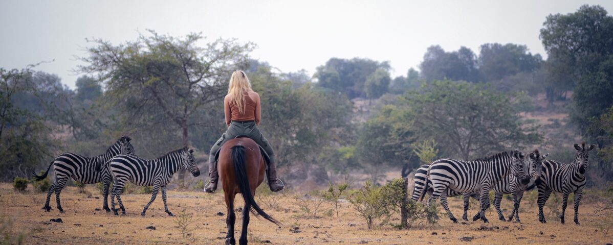Are There Any Entry Fees for Uganda National Parks?