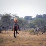 Are There Any Entry Fees for Uganda National Parks?