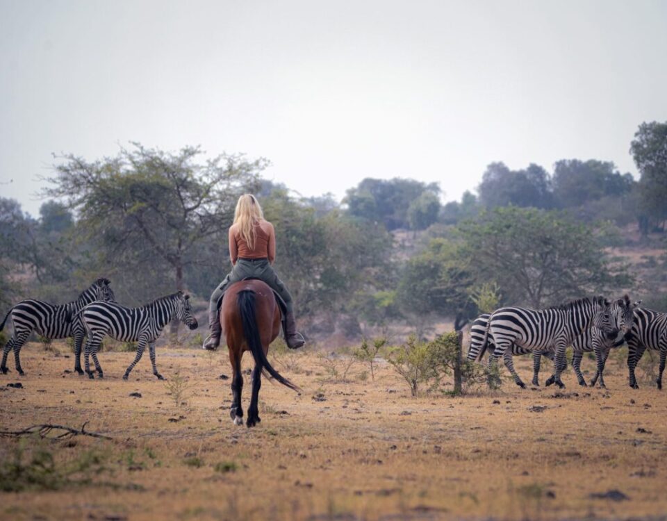 Are There Any Entry Fees for Uganda National Parks?