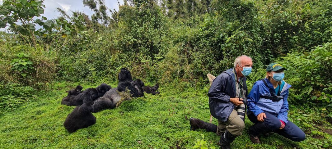 When Should I Go Gorilla Trekking in Rwanda?