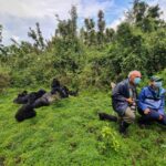 When Should I Go Gorilla Trekking in Rwanda?