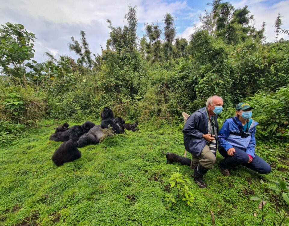 When Should I Go Gorilla Trekking in Rwanda?