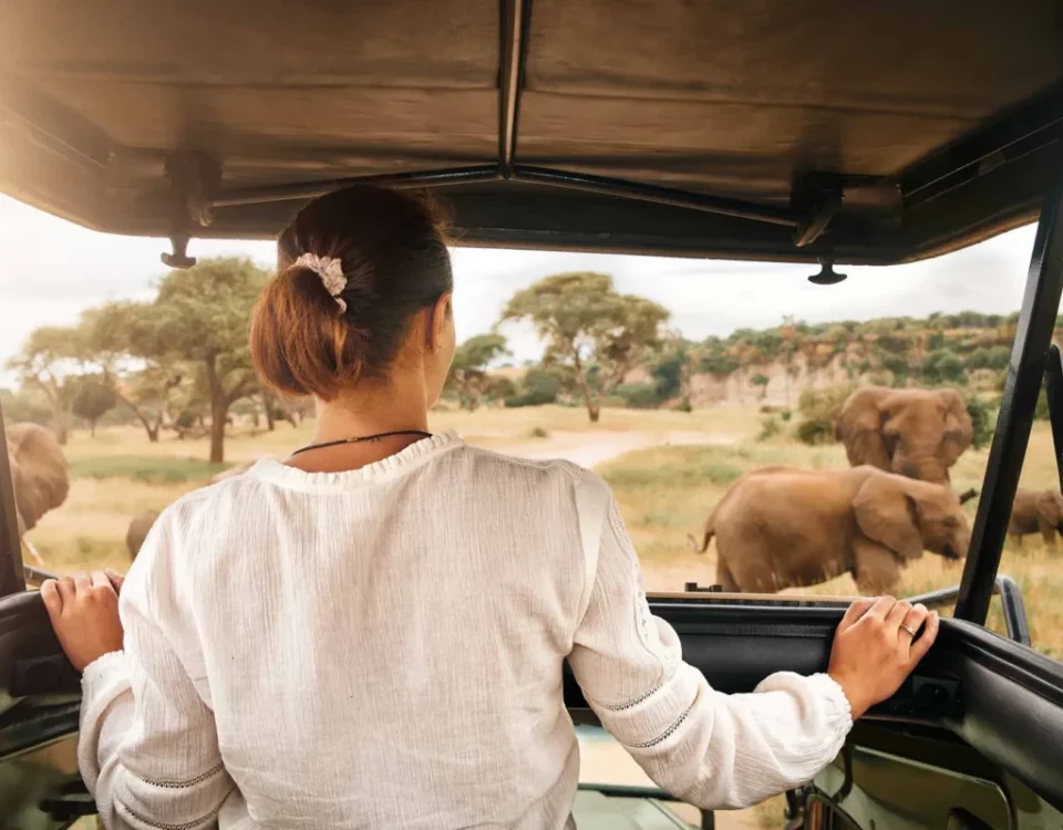 Are There Solo Traveler Options for Uganda Safaris?