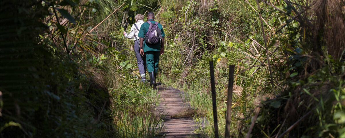Are There Any Health Risks on a Uganda Safari?