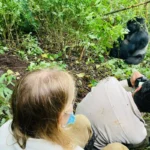 How Fit Do You Need to Be for Uganda Gorilla Trekking?